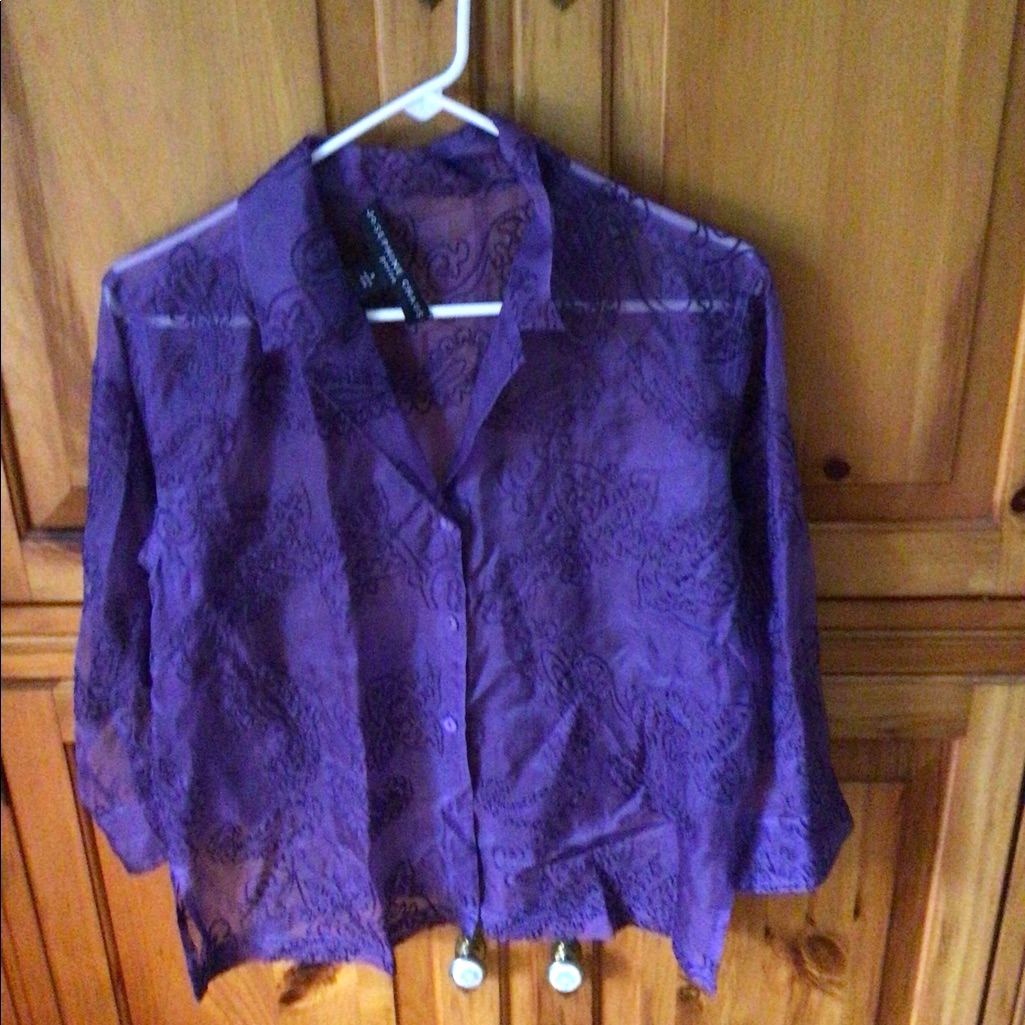 Sheer Button Down Blouse,